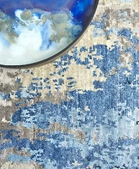 Exquisite Rugs Cosmo Er4343 Area Rug