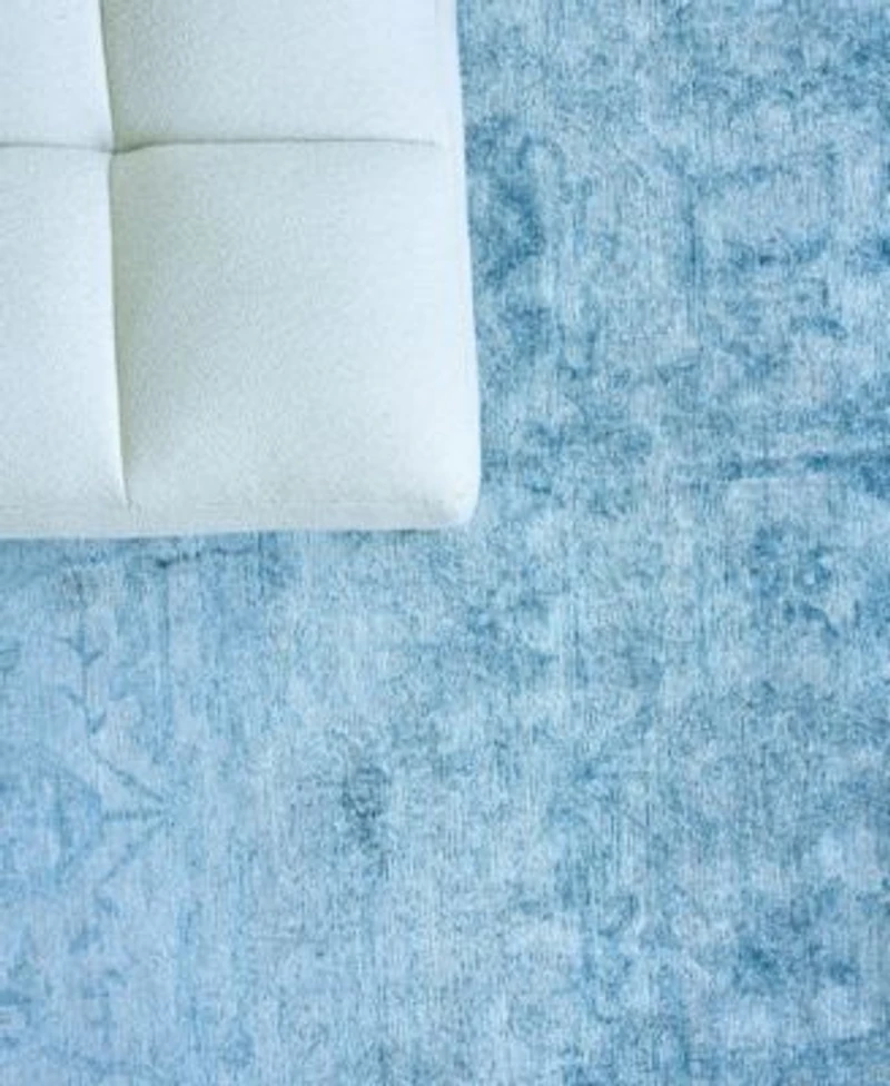 Exquisite Rugs Antiqued Silk Er5171 Area Rug Area Rug
