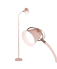 Zoey 65" Led Gooseneck Floor Lamp with Adjustable Light Colors