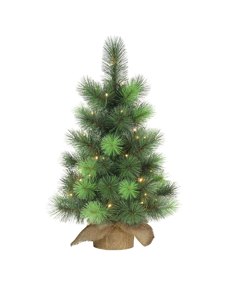 Puleo Pre-Lit Table Top Artificial Christmas Tree with 35 Lights in Sac, 2'