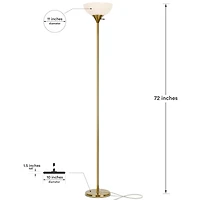 Sky Dome 72" Dimmable Led Floor Lamp
