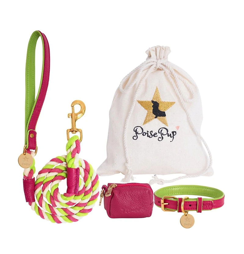 PoisePup Pet Dog Collar - Candy Swirl