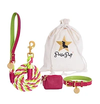 PoisePup Pet Dog Collar - Candy Swirl