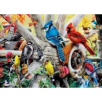 MasterPieces Audubon - Backyard Birds 1000 Piece Jigsaw Puzzle