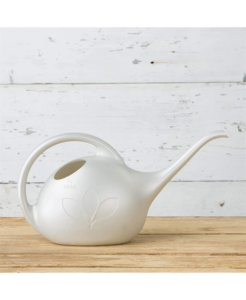 Novelty Indoor Plastic Long Spout Watering Can, White, 0.5 Gallon