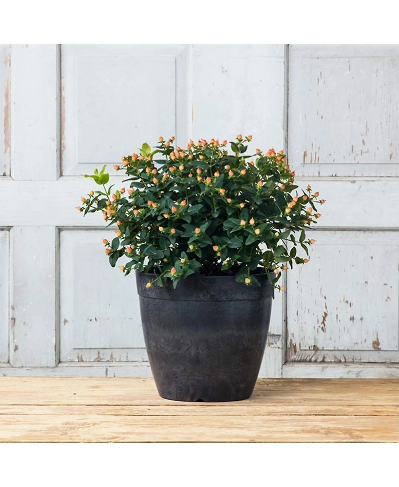 Novelty Manufacturing 03128 Round Dolce Flower Pot/Planter, Black, 12"