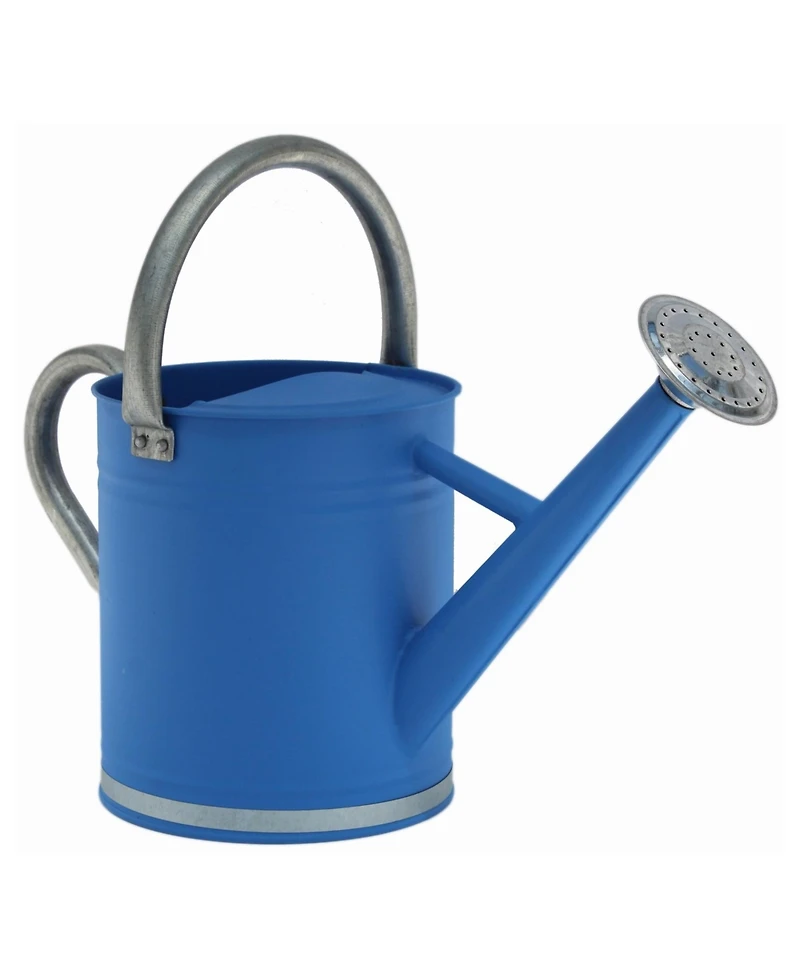 Gardener's Select Gardener Select Metal Watering Can, Blue Galvanized Accents, 0.92 Gal