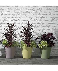 Crescent Garden Madison Planter DoubleWalled Plant Pot 20" Slate