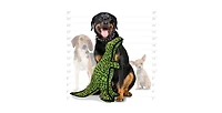 Tuffy Dinosaur T-Rex, Dog Toy