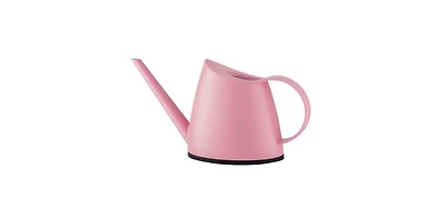 Small Watering Can with Long Slim Spout for Indoor Plants