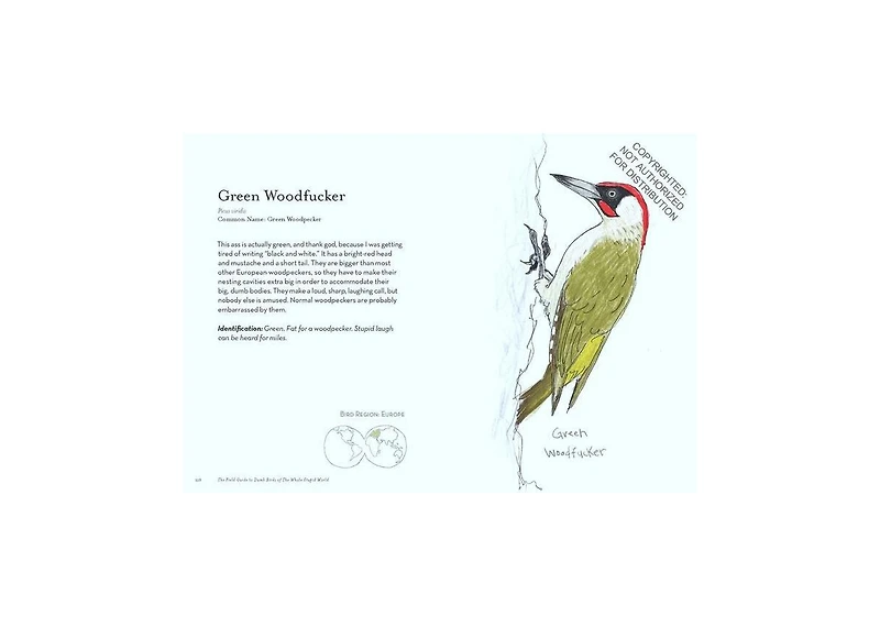 The Field Guide to Dumb Birds of the Whole Stupid World by Matt Kracht