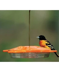 Aspects Oriole Nectar Feeder, 4 Ports, 16 oz