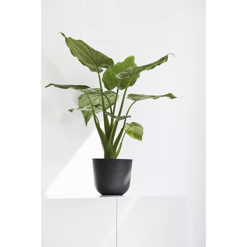 Ecopots Oslo Durable Indoor and Outdoor Planter, 10in