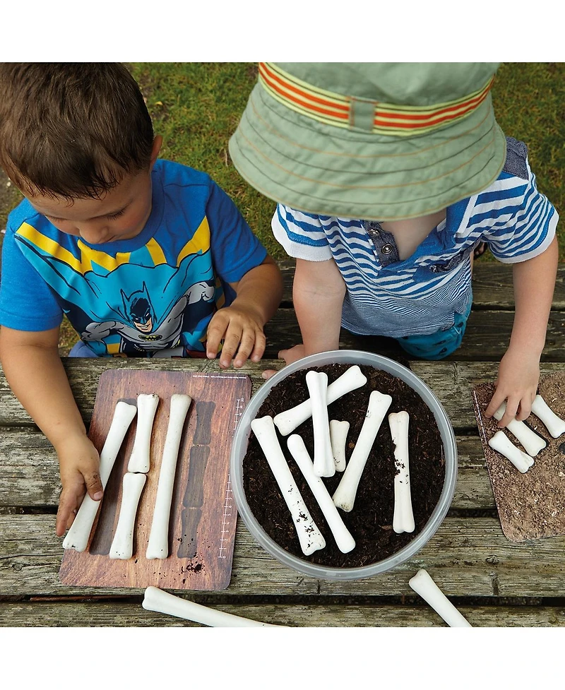 Yellow Door Dinosaur Bones Match & Measuring Cards