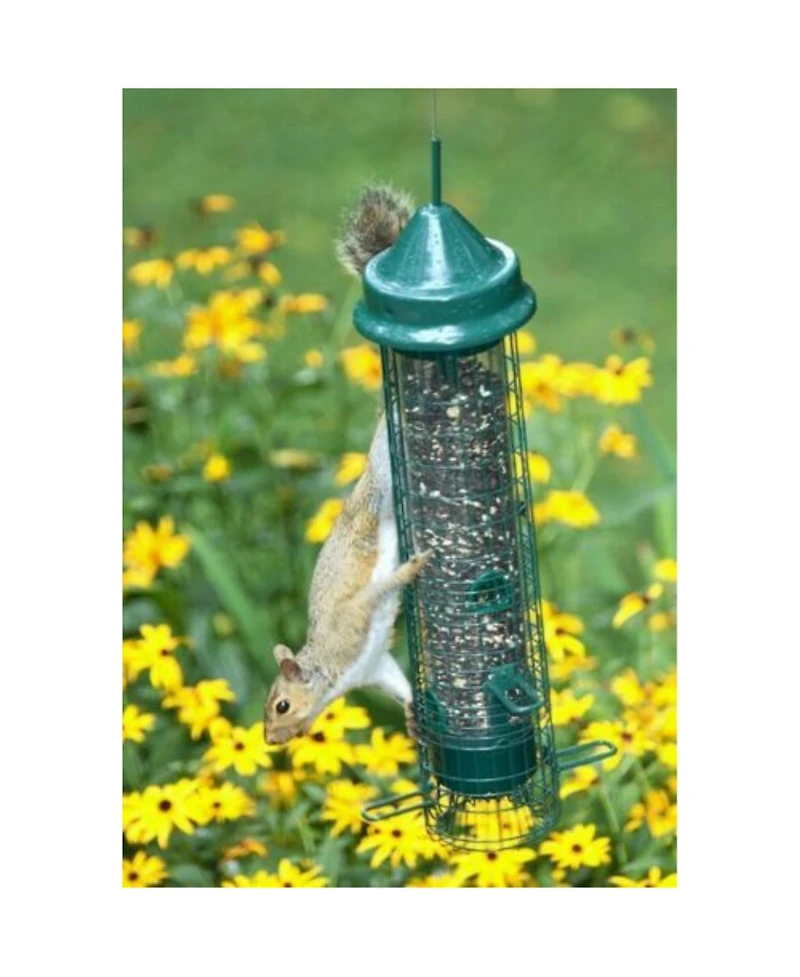 Brome 1015 Squirrel Buster Classic Tube Bird Feeder, Green
