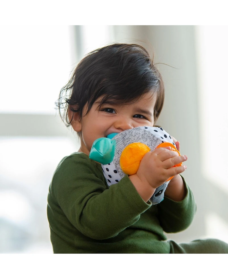 Sassy Bumpy Badger Developmental Baby Toy, 0 months plus