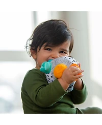 Sassy Bumpy Badger Developmental Baby Toy, 0 months plus