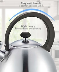 Primula Stainless Steel 2 Quart Whistling Kettle