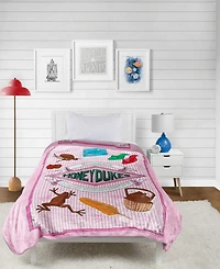 Harry Potter Honeydukes Silk Touch Throw, 70" x 50"
