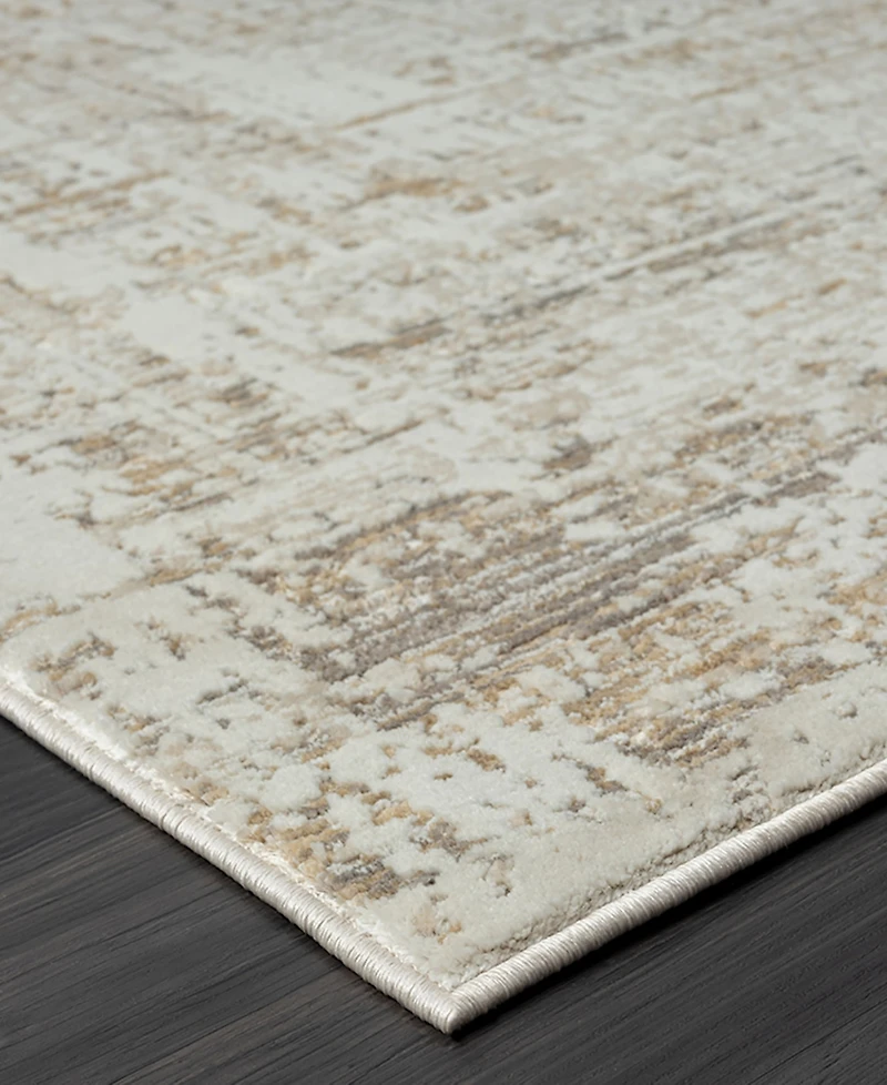 Lr Home Bienne BIENA284 4' x 6' Area Rug