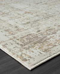 Lr Home Bienne BIENA284 4' x 6' Area Rug