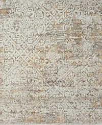Lr Home Bienne BIENA283 7'9" x 9'9" Area Rug