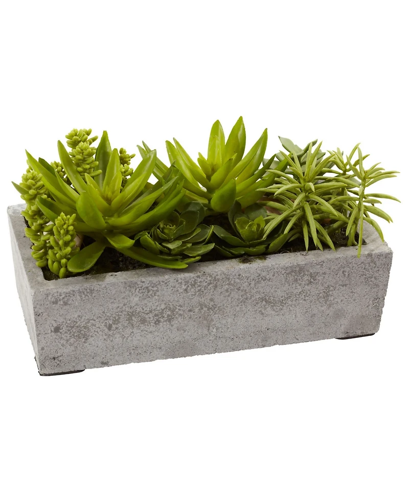 Nearly Natural Artificial Succulent Garden with Concrete Planter