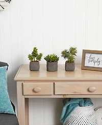 Nearly Natural Trio of Artificial Succulent Plants, Set of 3