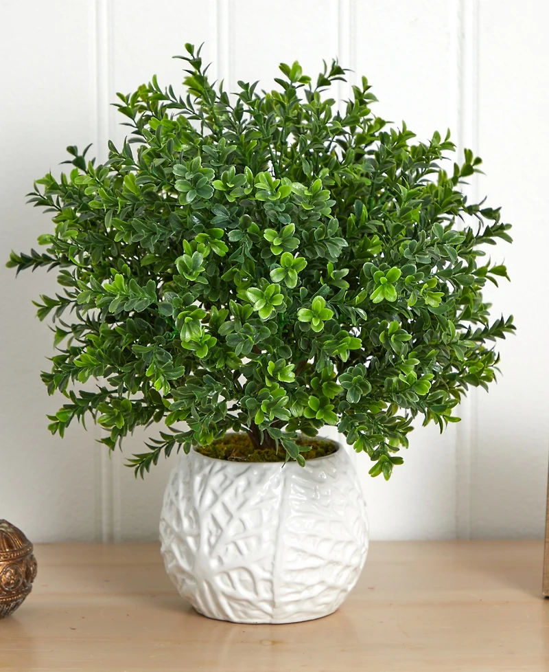 Nearly Natural Boxwood Evergreen Indoor/Outdoor Artificial Plant in White Vase
