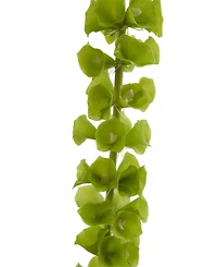 Nearly Natural 31-In. Bell of Ireland Artificial Flower, Set of 3