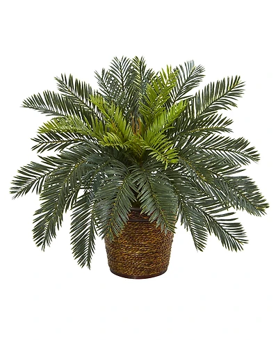 Nearly Natural 15" Cycas Artificial Plant in Basket