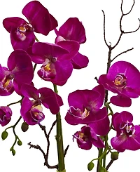 Nearly Natural Orchid and Succulent Floral Arrangement