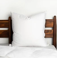 20" x 20" Feather Down Square Throw Pillow Insert