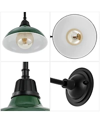 Aurora 12.25" 1-Light Farmhouse Industrial Indoor, Outdoor Iron Led Gooseneck Arm Sconce