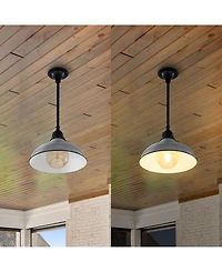 Jasper 12.25" 1-Light Farmhouse Industrial Indoor, Outdoor Iron Led Pendant