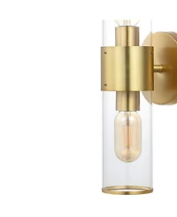 Quinn 15.5" 2-Light Mid-Century Modern Iron, Acrylic Led Sconce