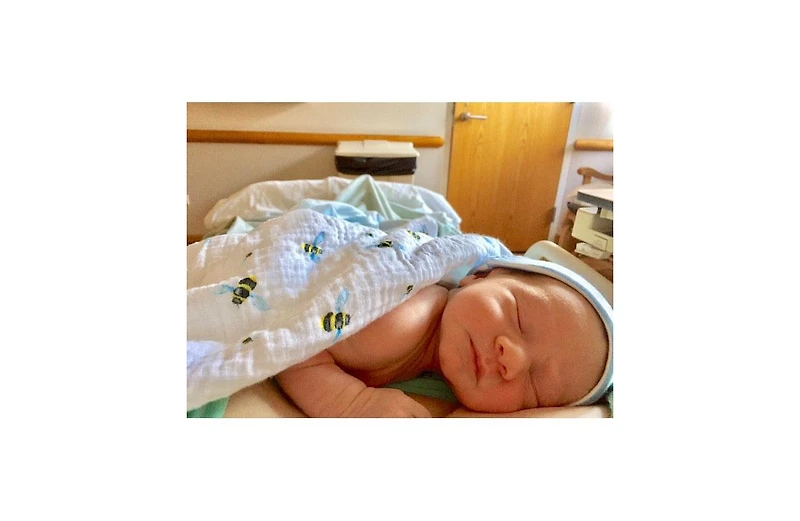 Gots Certified Organic Muslin Swaddle - Two-Pack Gift Set, Busy Bees (Bee + Bee Hive)