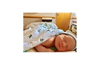 Gots Certified Organic Muslin Swaddle - Two-Pack Gift Set, Busy Bees (Bee + Bee Hive)