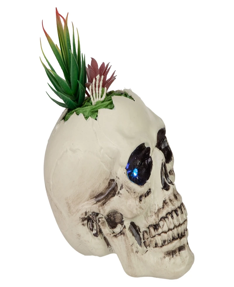 8.75" Led Lighted Succulent Halloween Skull Planter