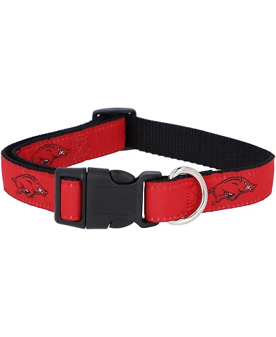 Arkansas Razorbacks 1" Regular Dog Collar