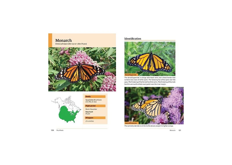 Raising Butterflies and Moths in the Garden by Brenda Dziedzic