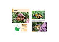 Raising Butterflies and Moths in the Garden by Brenda Dziedzic
