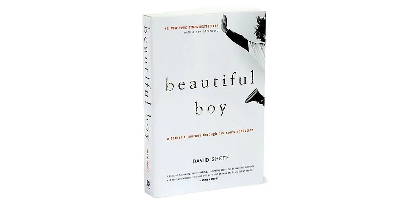 Beautiful Boy- A Father's Journey Through His Son's Addiction by David Sheff