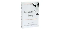 Beautiful Boy- A Father's Journey Through His Son's Addiction by David Sheff