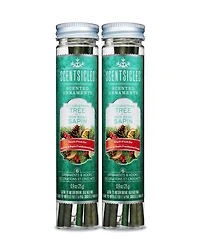 National Tree Company Scentsicles Scented Ornaments, 6 Count Bottles, Infused Paper Sticks, 2 Pack Set