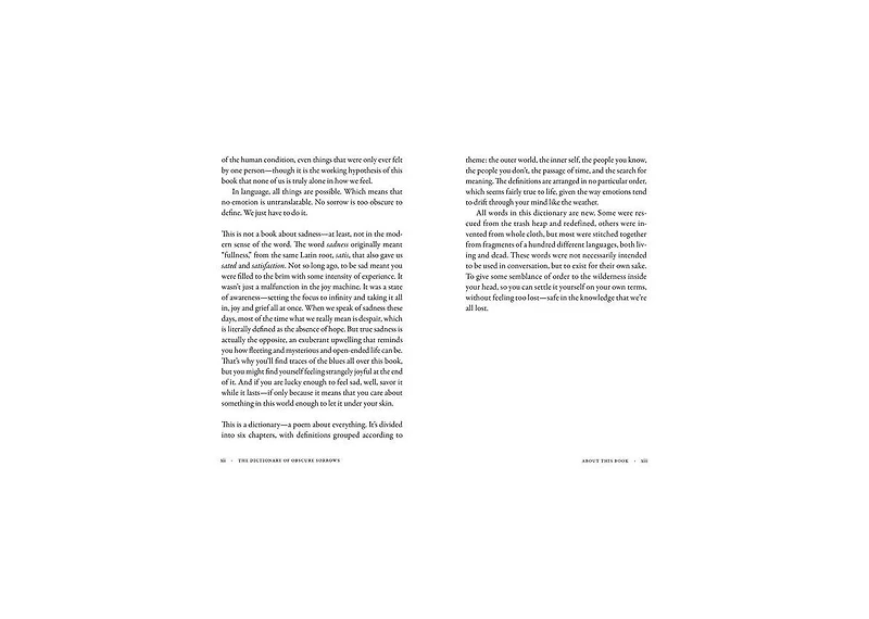 The Dictionary of Obscure Sorrows by John Koenig