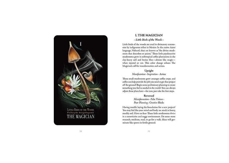 Midnight Magic- A Tarot Deck of Mushrooms by Sara Richard
