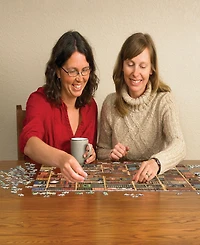 Cobble Hill- the Cat Library Puzzle