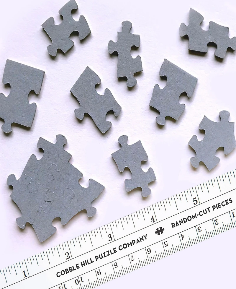 Cobble Hill- the Curve in the Square Puzzle