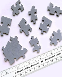 Cobble Hill- the Curve in the Square Puzzle